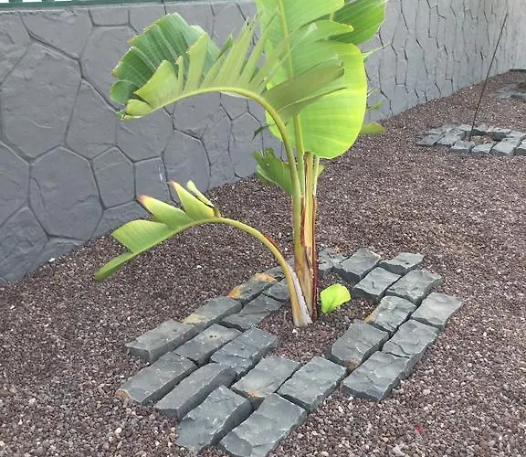 Apartmán Residencial Geranios 13 Costa Del Silencio