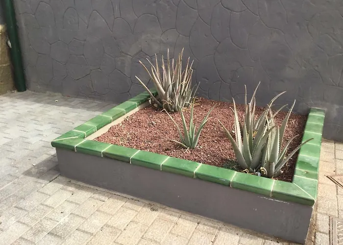 Residencial Geranios 13 Διαμέρισμα