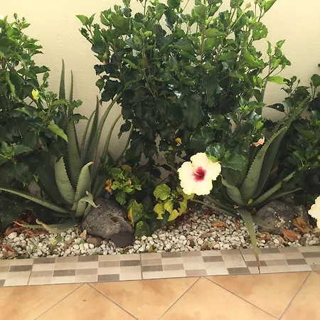 Residencial Geranios 13 *