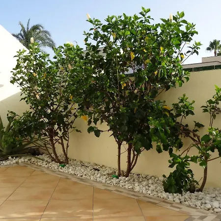 Apartment Residencial Geranios 13 *