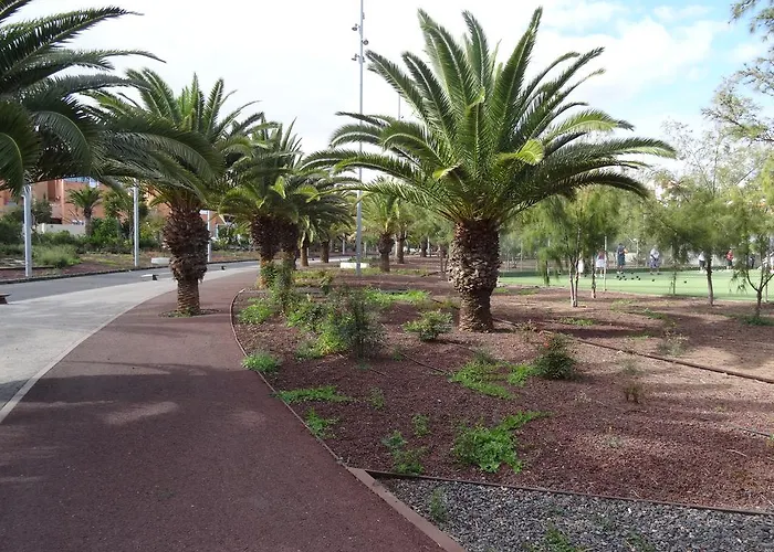 Residencial Geranios 13