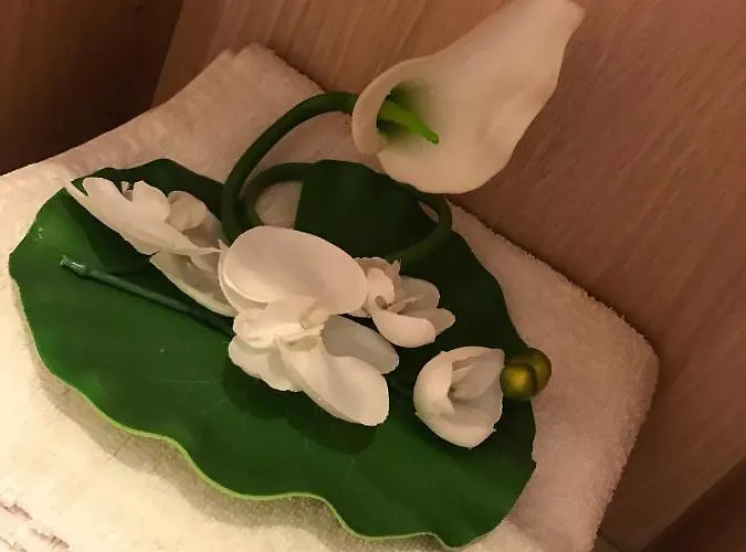 Residencial Geranios 13 德尔锡伦西奥海岸