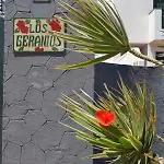 Residencial Geranios 13 * コスタ・デル・シレンチオ