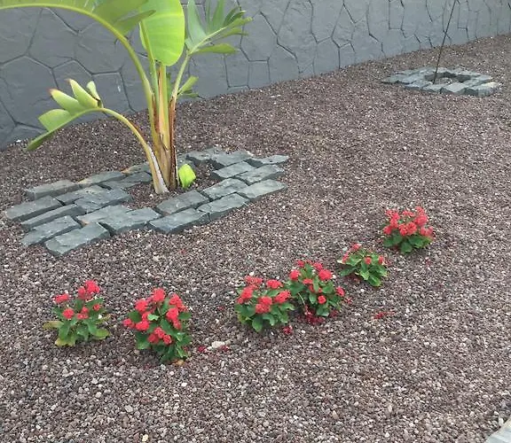 شقة Residencial Geranios 13 *