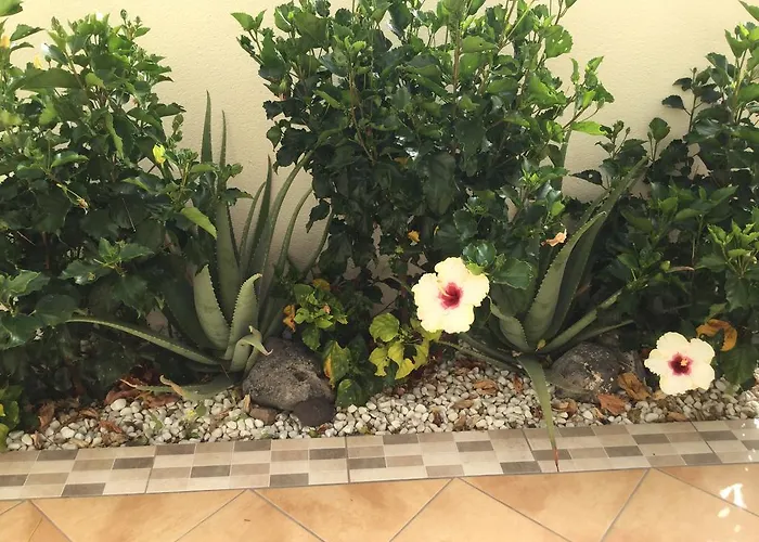 Residencial Geranios 13 *