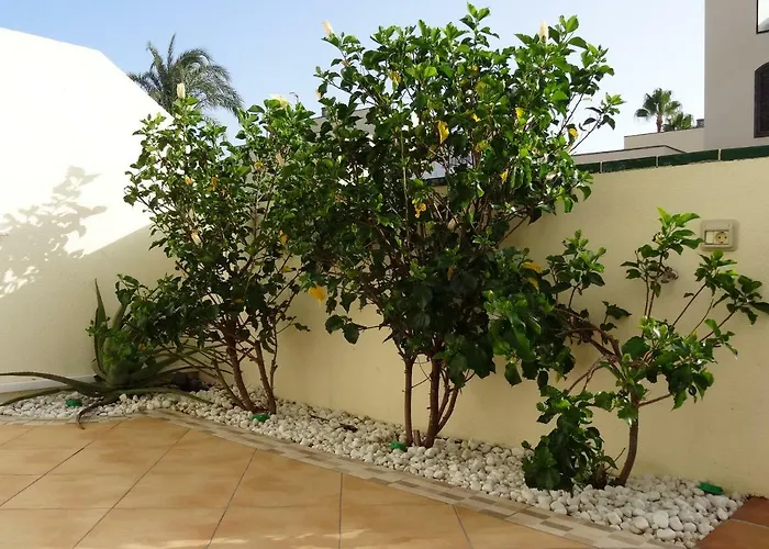 شقة Residencial Geranios 13 *